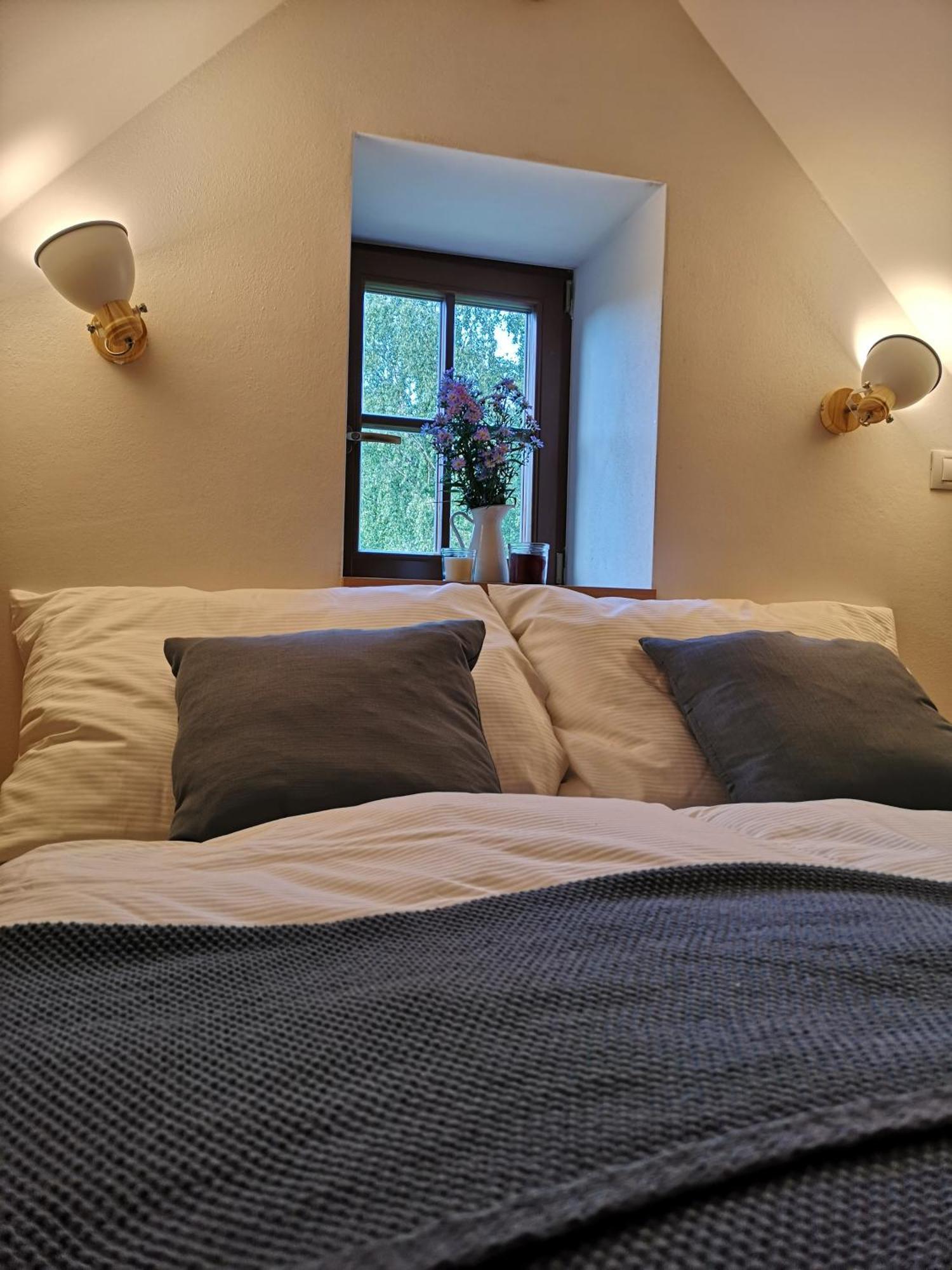Na Jeleni Stezce Villa Chribska Exterior photo